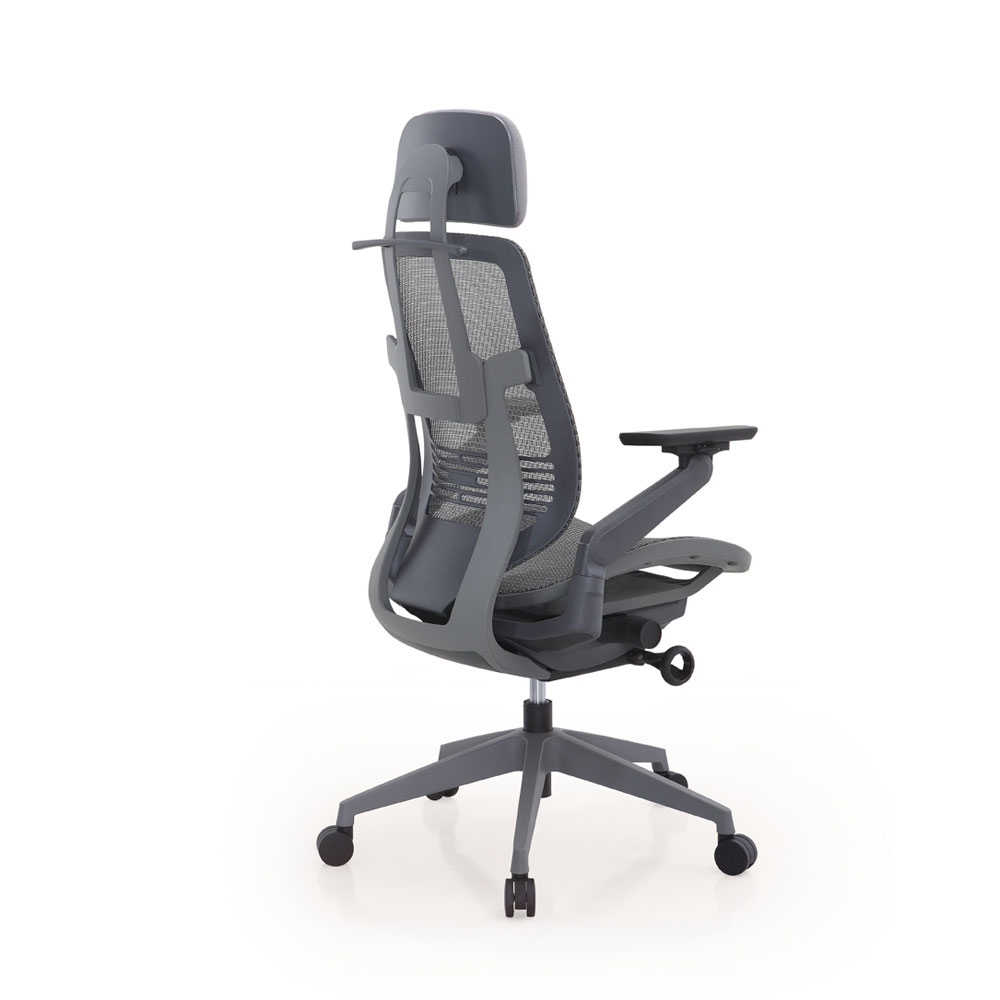 Ergoman Mesh ergonomic chair