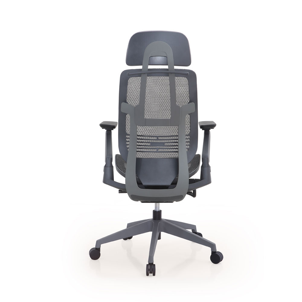 Ergoman Mesh ergonomic chair